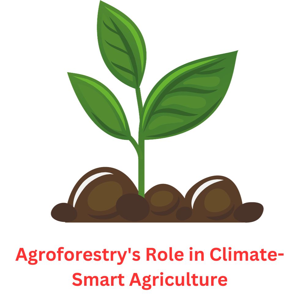 Rooted in Resilience: Agroforestry's Role in Climate-Smart Agriculture