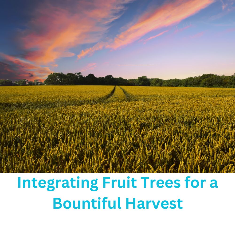 Integrating Fruit Trees for a Bountiful Harvest