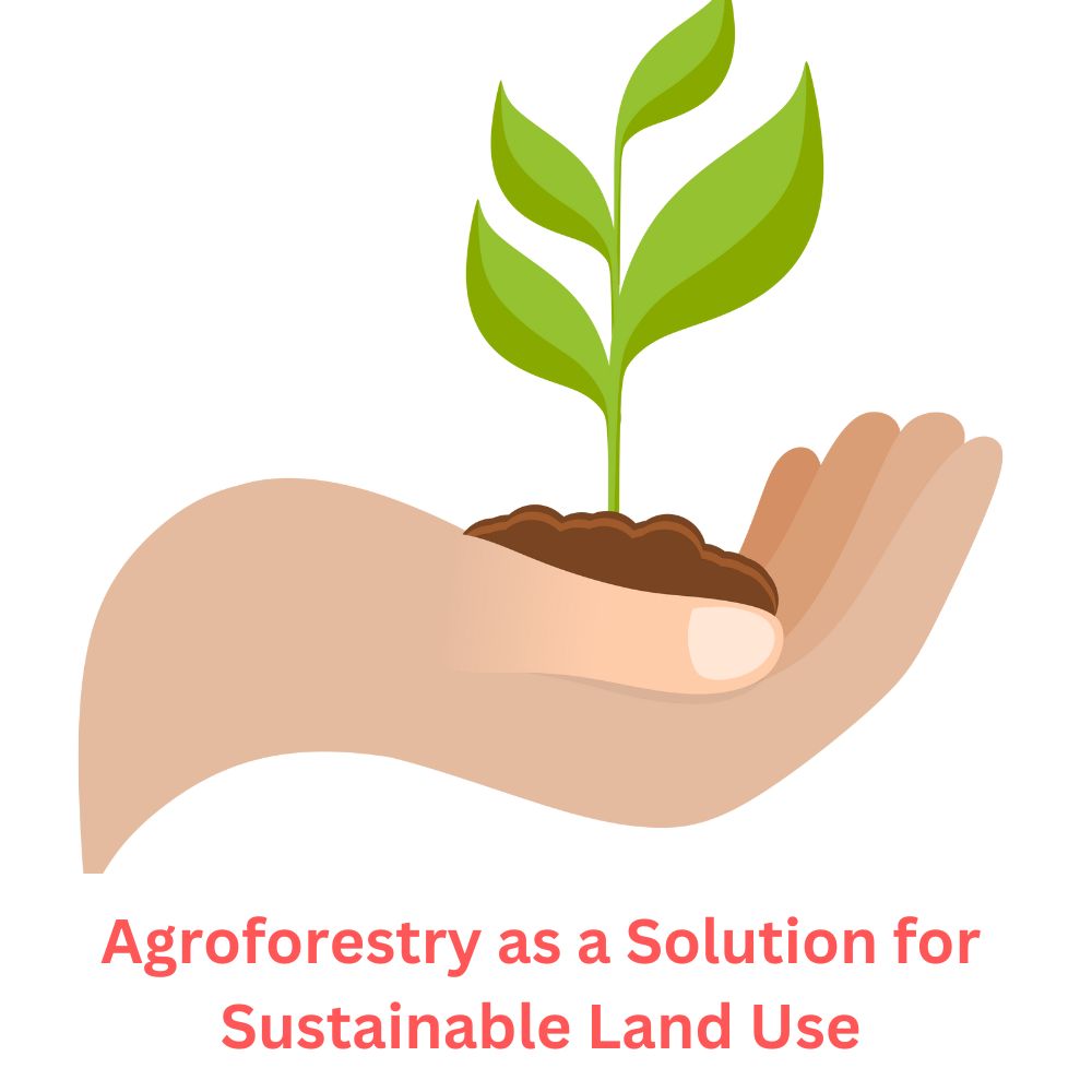 Agroforestry as a Solution for Sustainable Land Use