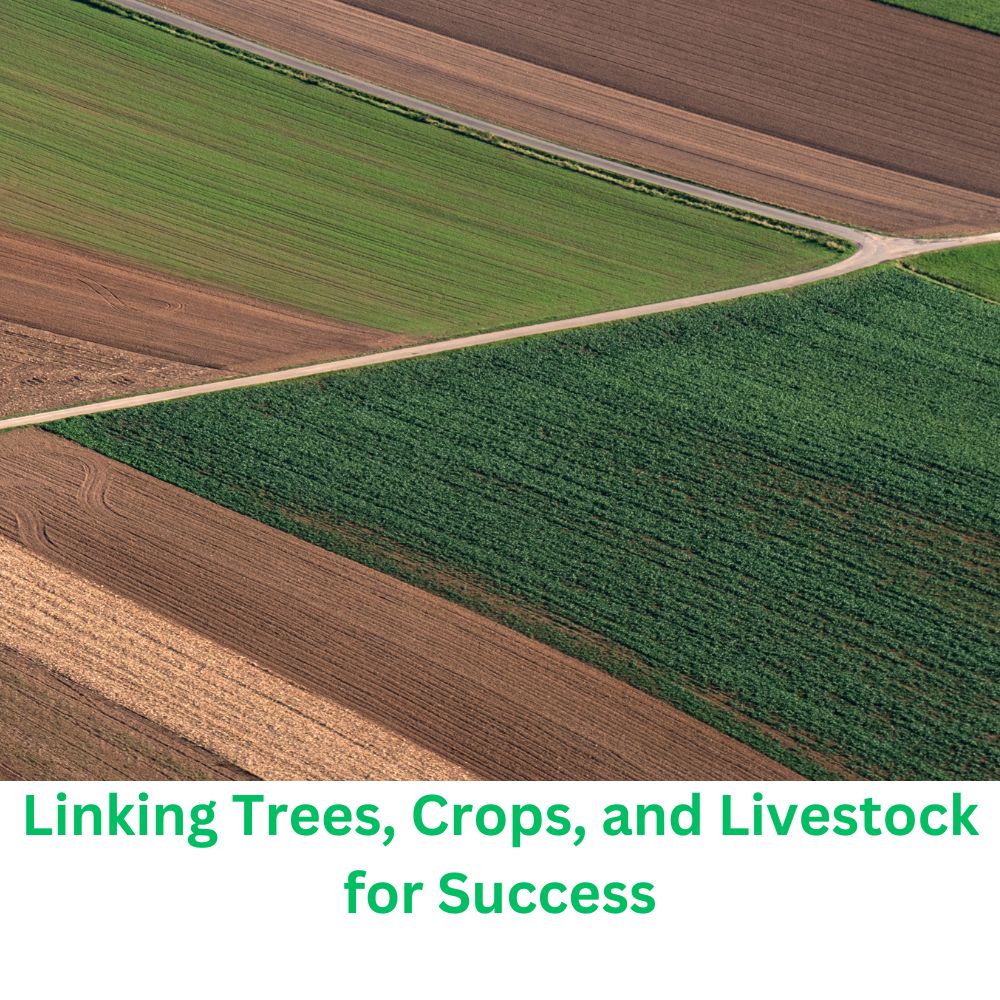 Linking Trees, Crops, and Livestock for Success