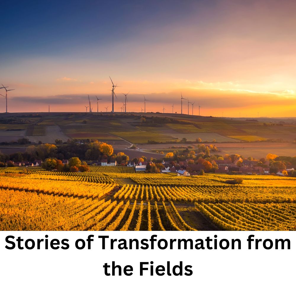 Stories of Transformation from the Fields