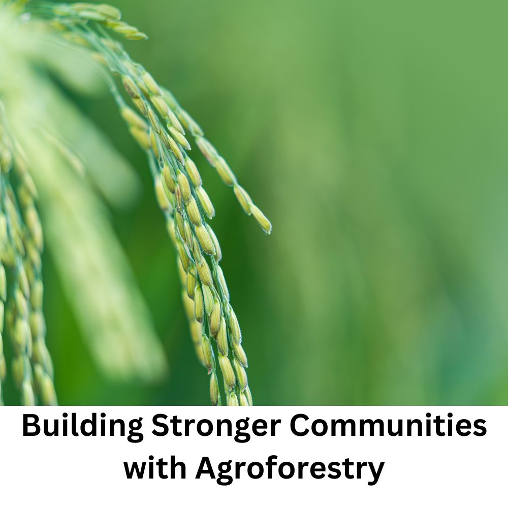 Building Stronger Communities with Agroforestry