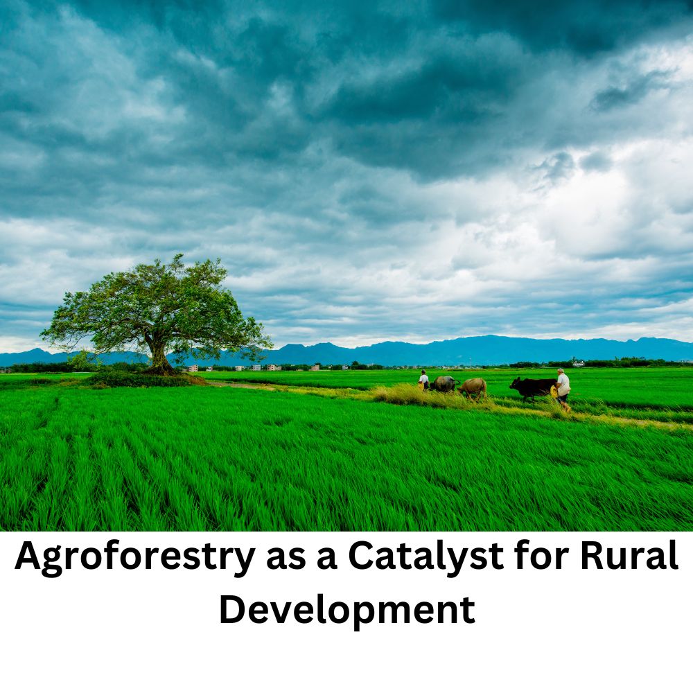 Agroforestry as a Catalyst for Rural Development