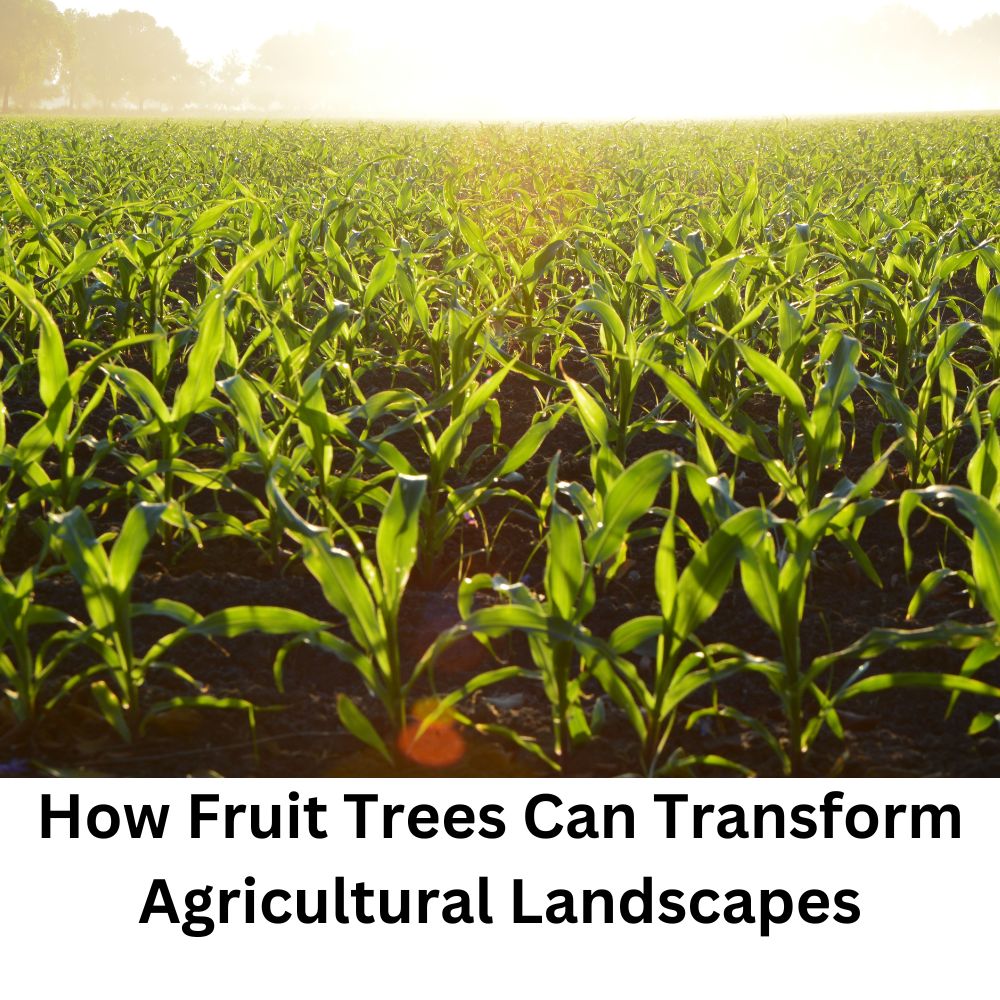 How Fruit Trees Can Transform Agricultural Landscapes