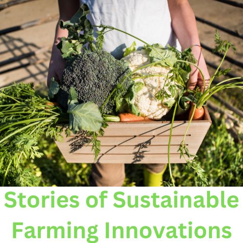 Stories of Sustainable Farming Innovations