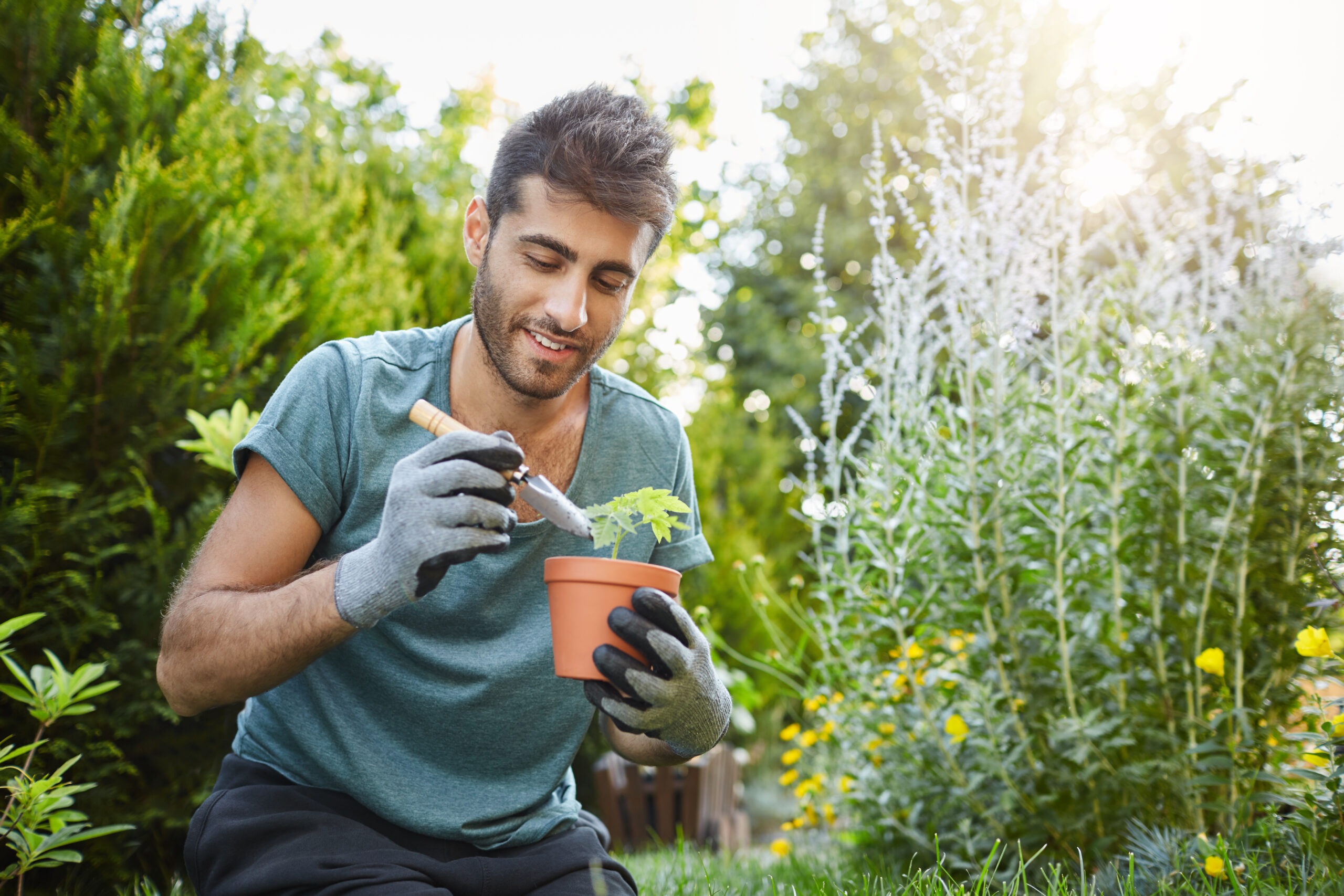 How Agroforestry Enhances Community Bonds