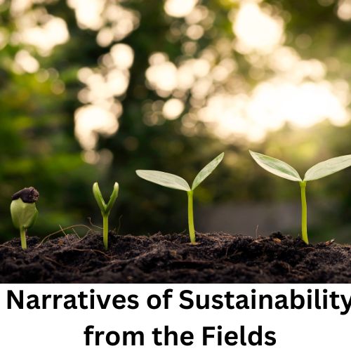 Narratives of Sustainability from the Fields