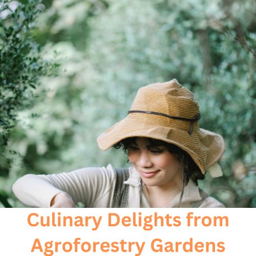 Culinary Delights from Agroforestry Gardens