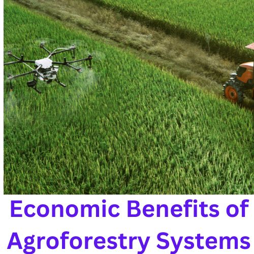 Economic Benefits of Agroforestry Systems