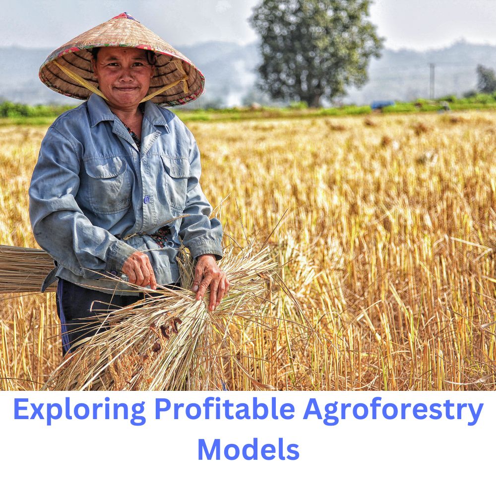 Exploring Profitable Agroforestry Models