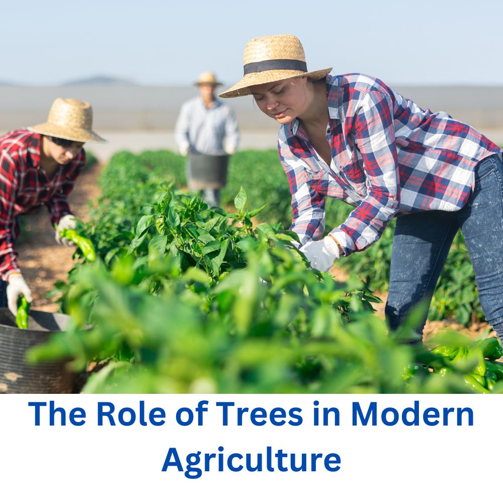 The Role of Trees in Modern Agriculture